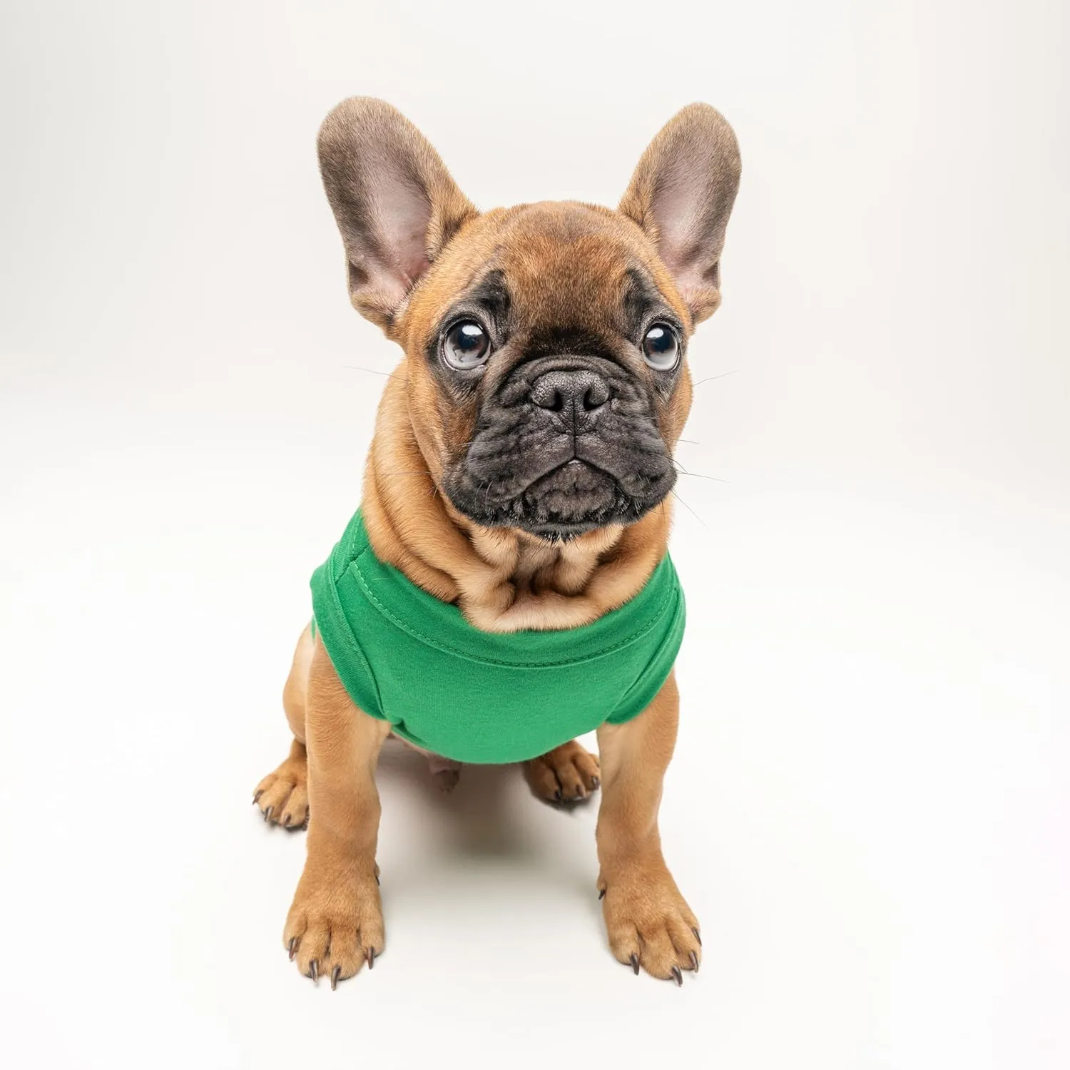 Happy Birthday Mom Dog Tee Shirt | Sleeveless | Pawty | Party Theme | Celebration Supplies | Photoshoot (Green, 2X-Large 168)