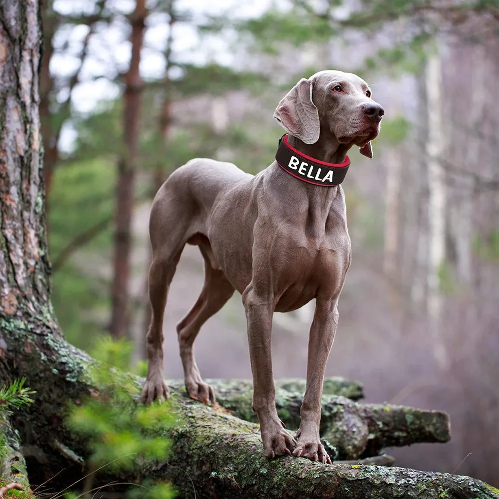Personalized PU Leather Dog Collar Necklace
