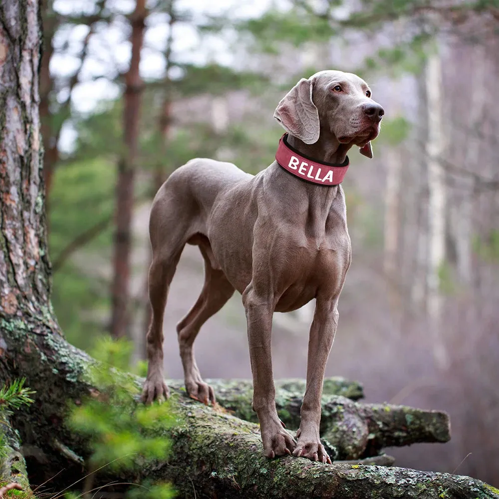 Personalized PU Leather Dog Collar Necklace