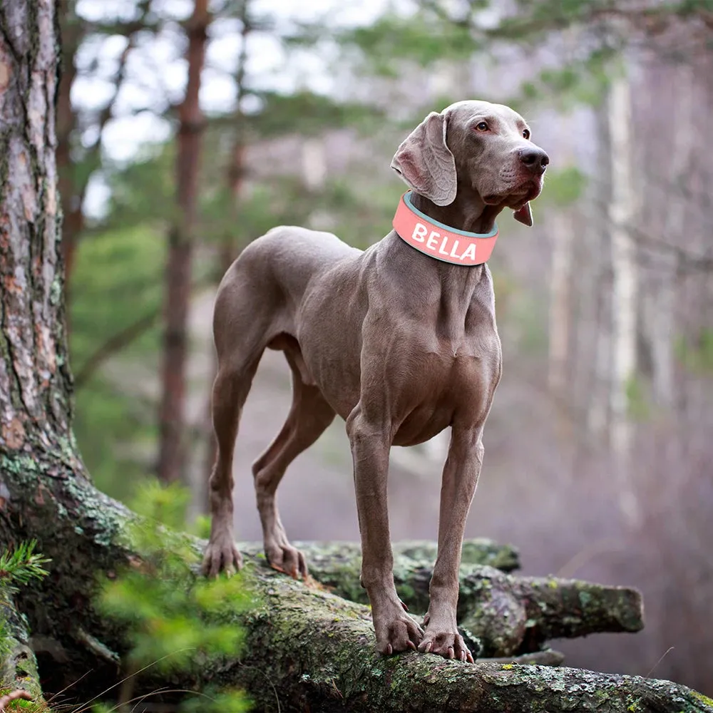 Personalized PU Leather Dog Collar Necklace