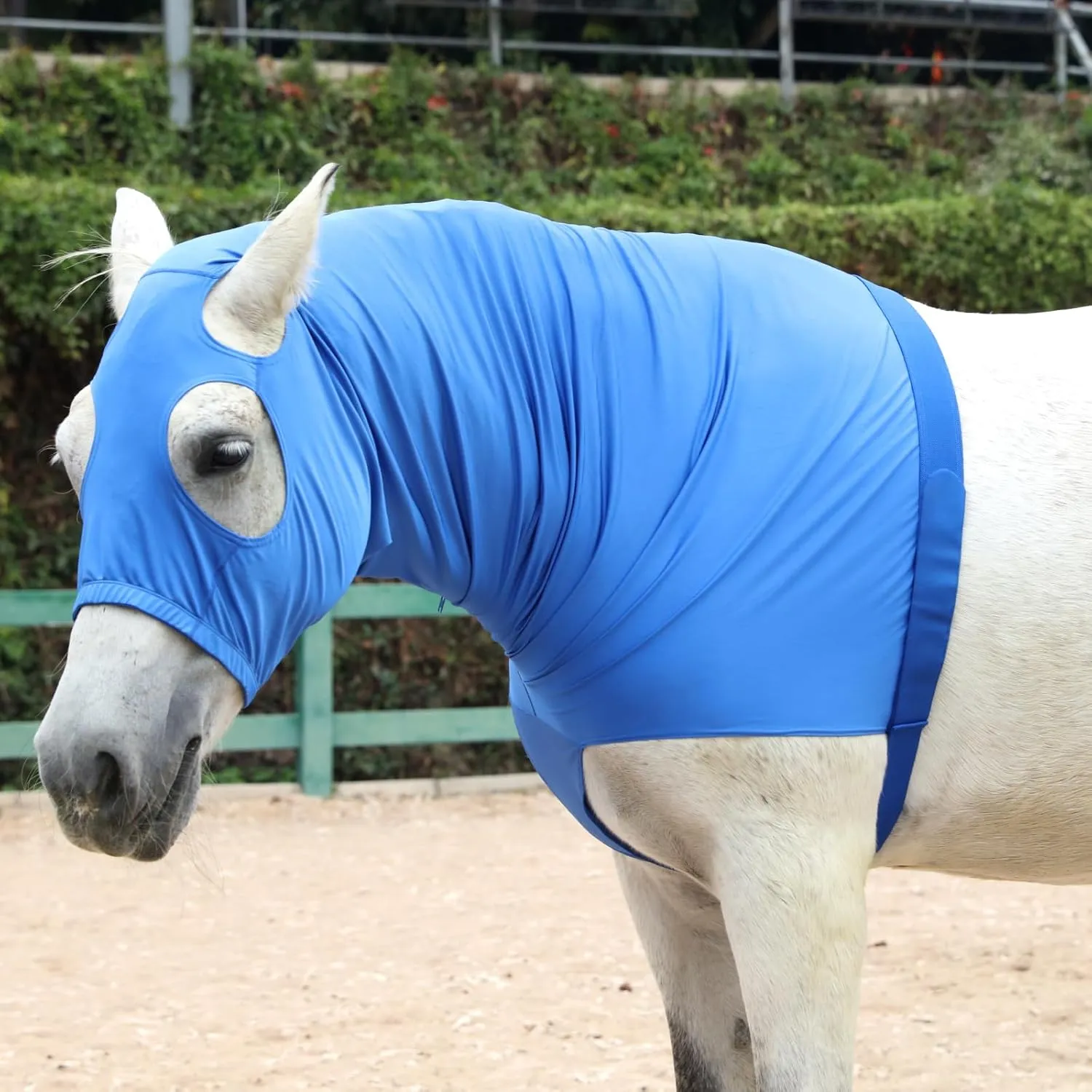 Stretch Horse Slinky Hood Spandex Mane Stay Hoods with Zipper Blue Small