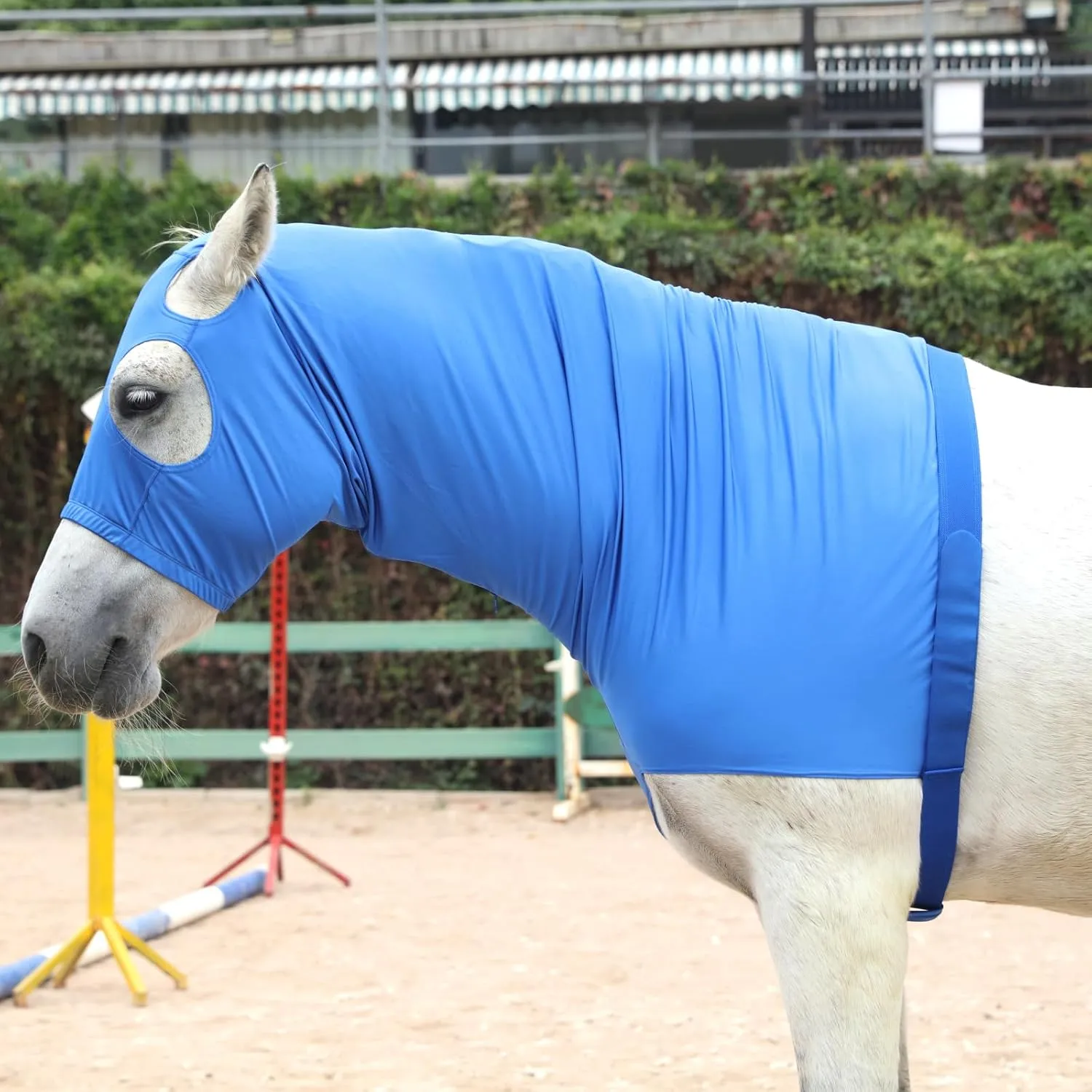 Stretch Horse Slinky Hood Spandex Mane Stay Hoods with Zipper Blue Small